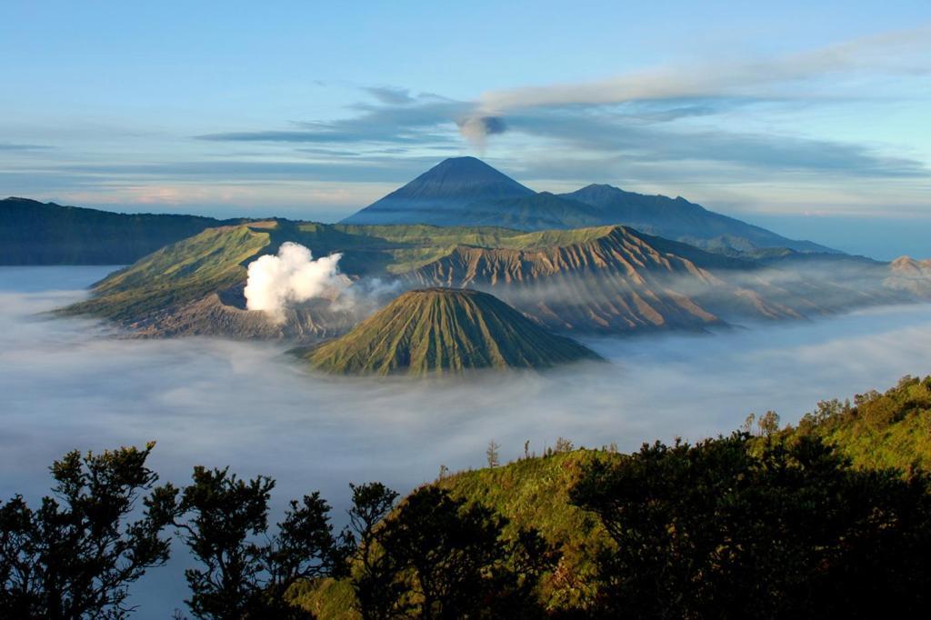 Hotel Lereng Bromo Pasuruan Exterior photo